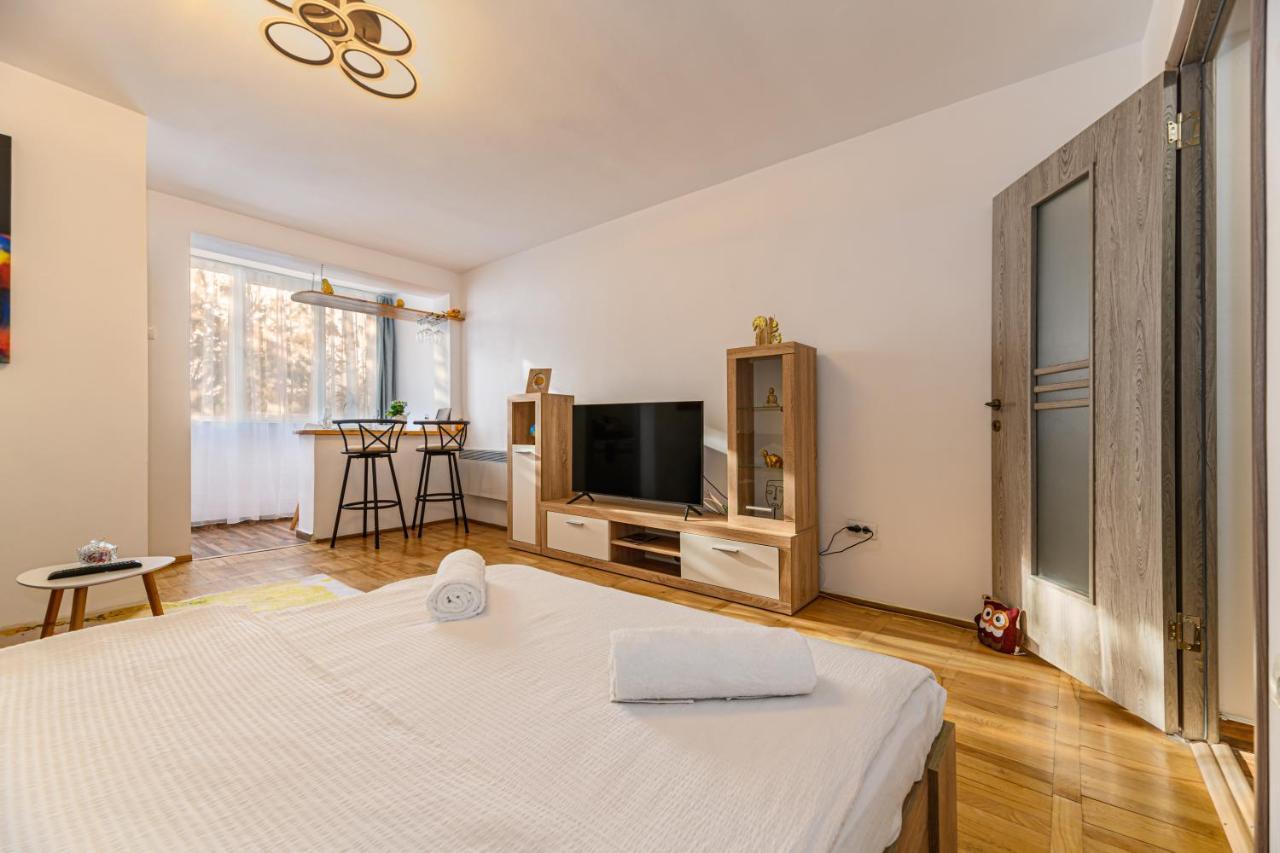 Jad - Family - Apartments & Studios Brașov Exterior foto